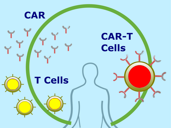 The Promise Of Cell Therapies And Top Biotechs Riding The Wave