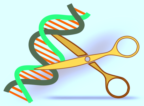 A Race For Better Gene Editing Tech Is On
