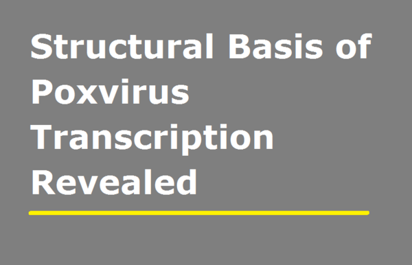 Structural Basis of Poxvirus Transcription Revealed