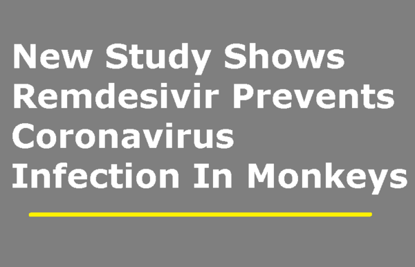 New Study Shows Remdesivir Prevents Coronavirus MERS-CoV Infection In Monkeys