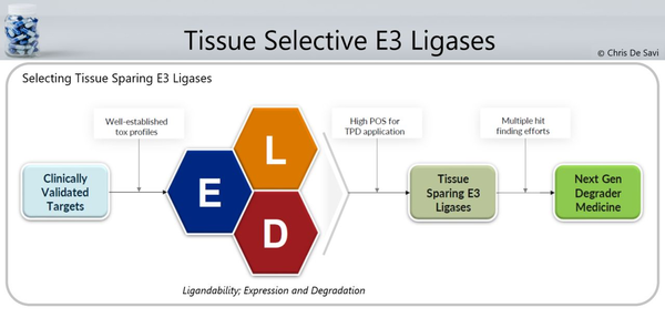 Tissue Selective E3 Ligase-based Degraders