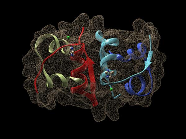 Unlocking the Proteome's Secrets: The Advancement …
