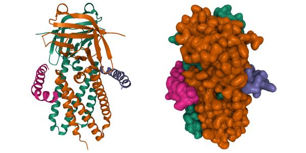 Gandeeva Therapeutics and Moderna Join Forces …