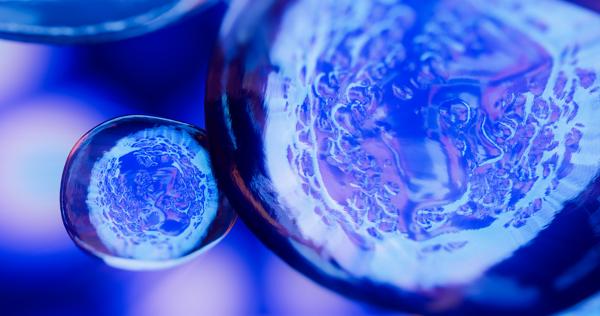 Vittoria Biotherapeutics Highlights Novel CAR-T Cell …
