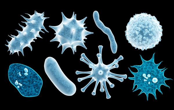 DASA Launches Microbial Forensics Competition to …