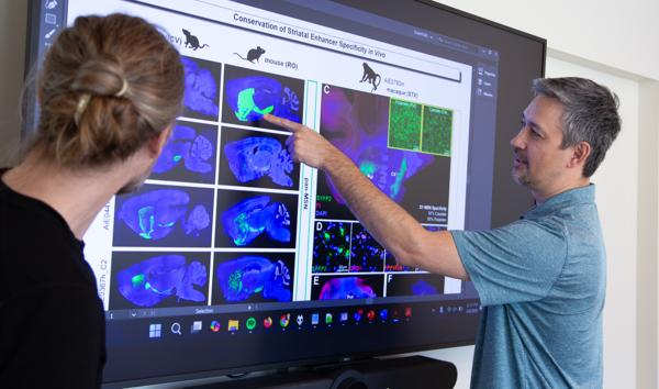 NIH BRAIN Initiative Backs Toolkit of …