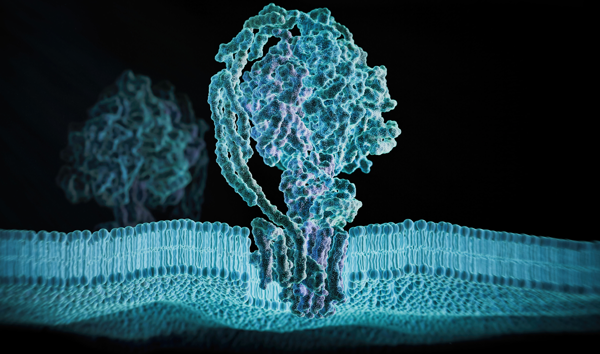 Immuto Raises $8M Seed for AI Structural Surfaceomics, Enters Daiichi Sankyo Oncology Collaboration