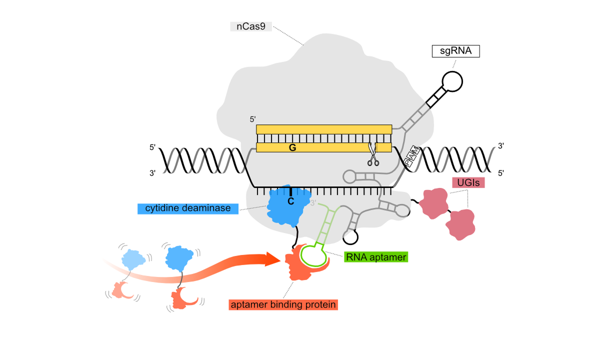 Revvity and Profluent Partner on AI-Engineered Base Editing Toolkit