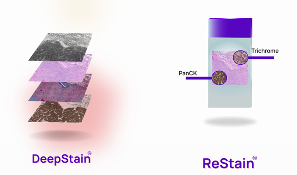 Proscia and Pictor Labs Bring AI-Powered Virtual Staining to Digital Pathology