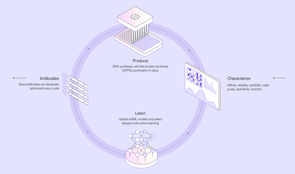 BigHat Introduces AI Platform for Antibody Design and Optimization