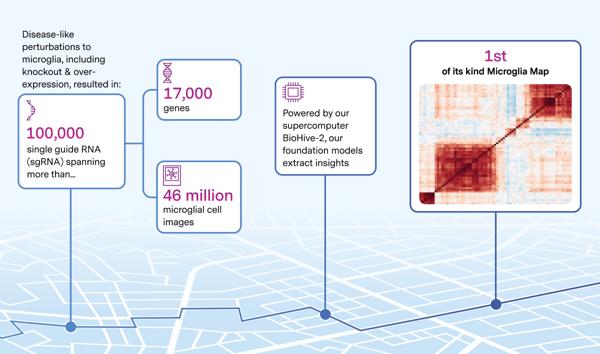 Recursion Completes Whole-Genome Microglia Map With Roche and Genentech