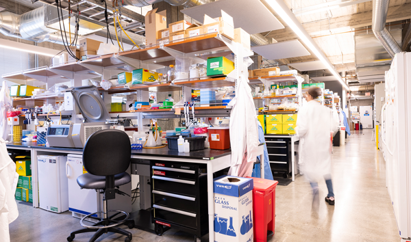 Scribe to Start First Human Trial of One-Time CRISPR Therapy for Cardiovascular Disease