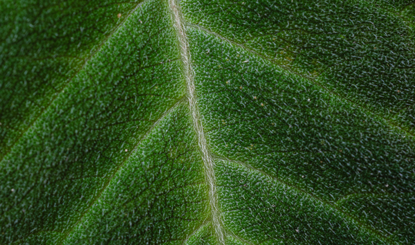 Antheia Adds $24M in Series C Extension …