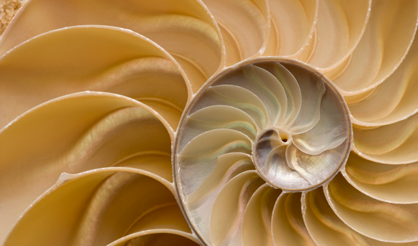 This AI-Ready Single-Molecule Proteomics $1.6M Grant Targets …