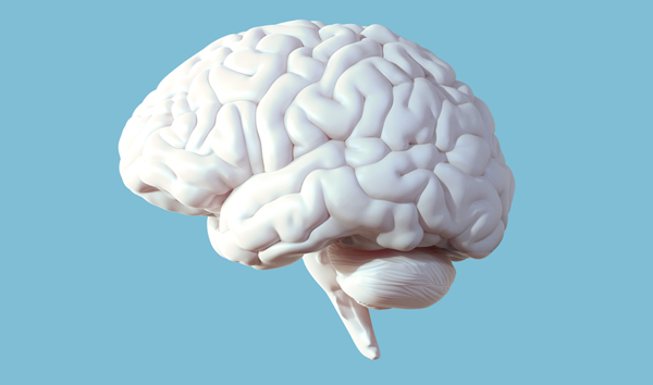 New Brain Health Clinic Network Combining Care, Research, and AI: Salma Health Launches with $80M