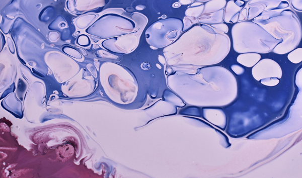 Bioptimus Launches Multimodal Tissue Atlas Across Three Continents