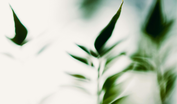Enveda’s AI-Discovered Drug Shows Early Atopic Dermatitis Relief