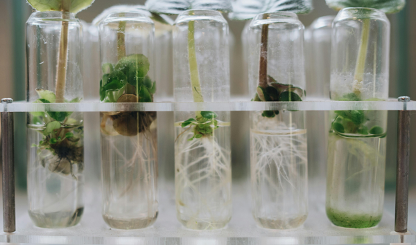 Generare Raises €20M to Explore Uncharacterized Chemical Space from Microbial DNA