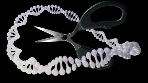 12 Startups Applying AI to Gene Editing: …