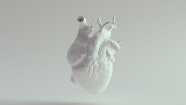12 Startups in the Digital Twin Healthcare …