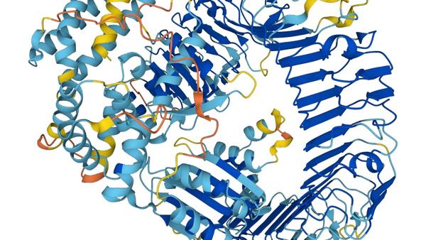 14 Startups in AI Protein Design: Platforms, …
