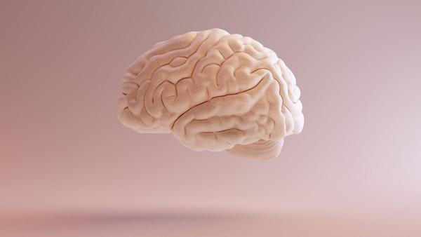 Emerging Brain-Computer Interface Industry Across Chips, AI, …