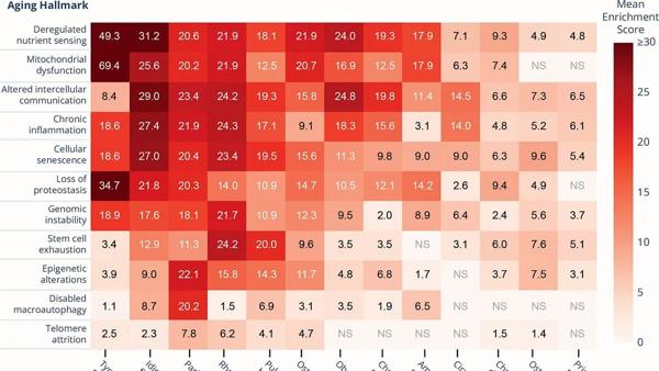 Three Big Ideas in Aging Research That Could Shift the Therapeutic Landscape