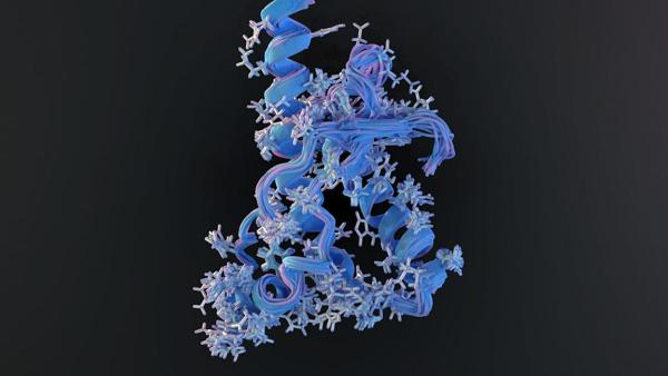 Protein Language Models: Builders & Pharma Deals