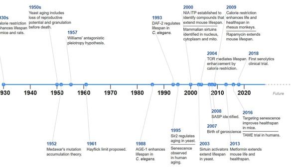 Aging, AI, and the Uneven Road to …
