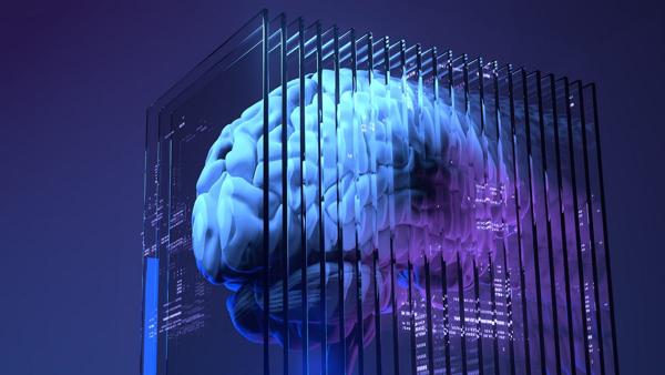 2025 Neurotech Review: BCIs, Brain Delivery, Organoids …