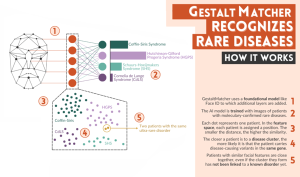 AI-Based Next-Generation-Phenotyping for Rare Disease Diagnosis