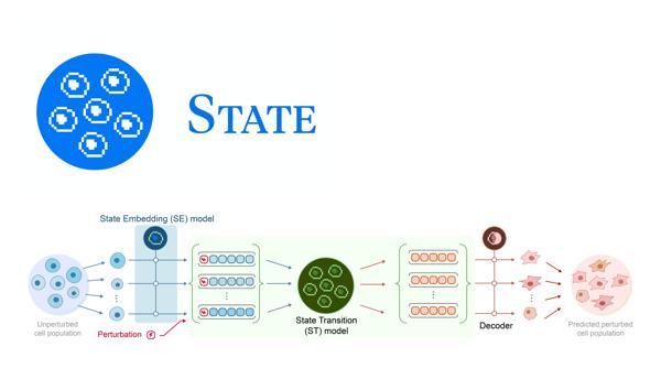 Arc Institute Releases its First Virtual Cell …