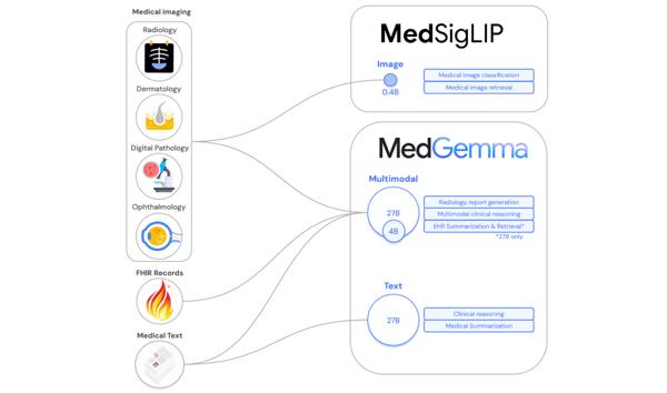 Google Expands MedGemma Collection With Multimodal …