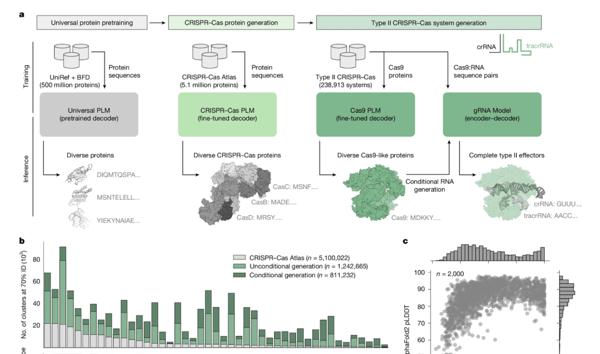 Profluent Publishes AI-Designed Genome Editor in …