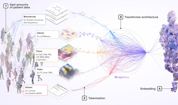 Bioptimus Releases Multimodal "World Model" For Biology …