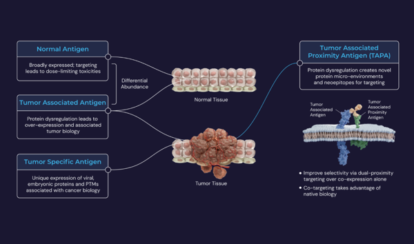 Eli Lilly Signs up to $950M AI-Guided Cancer Therapeutics Deal with InduPro