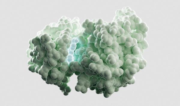 MIT Team Behind Boltz Launches With $28M, Pfizer Collaboration, and Three Guarantees