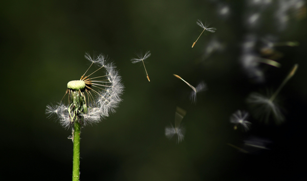 BreezeBio Raises $60M to Put Its Organ-Targeting Gene Delivery Tech to the Test