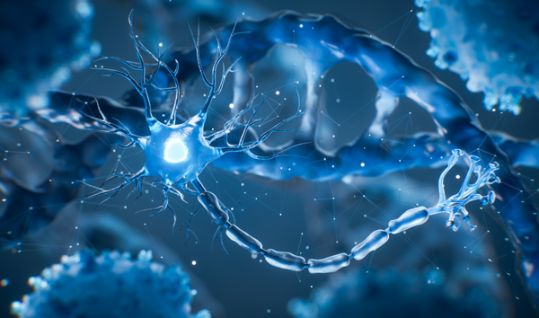 Brain Organoid Gene Therapy Reaches First Patient in Pitt Hopkins Syndrome Trial