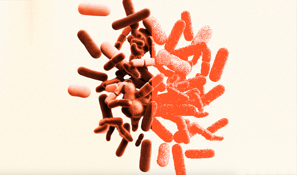 Outpost Bio Raises $3.5M to Make the Human Microbiome “Computable”