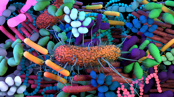 Powered by Venture Funding, the Microbiome Market is Ready for Mainstream