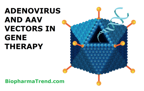 Ups and Downs of Adenovirus and Adeno-Associated Virus Vectors in Gene Therapy