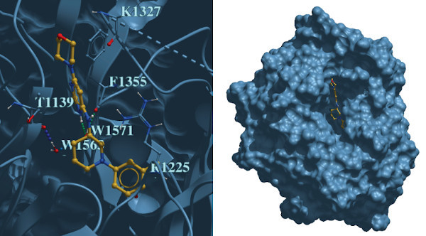 Cyclica's Chemical Probes for DCAF1