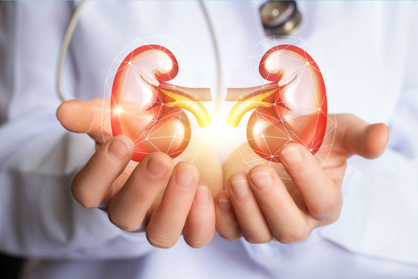 New Partnership Aims To Improve Kidney …