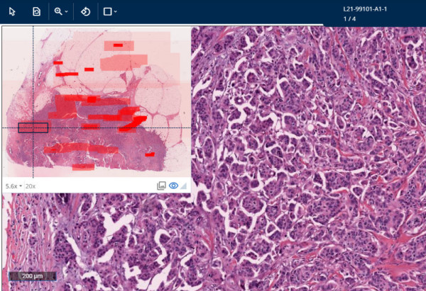 Proscia Enhances Preclinical R&D Platform: Streamlining …