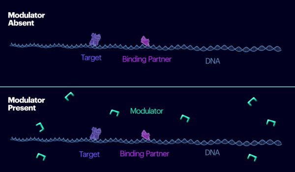 Introducing “Lab-on-a-Molecule” Drug Discovery Approach via …