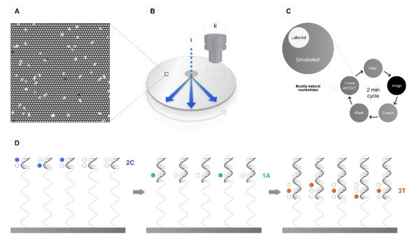 Ultima Genomics and Genome Insight Leverage …