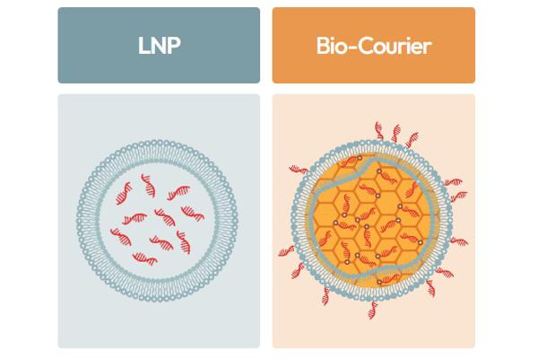 FDA Recognizes SiSaf's siRNA Therapy, SIS-101-ADO, …