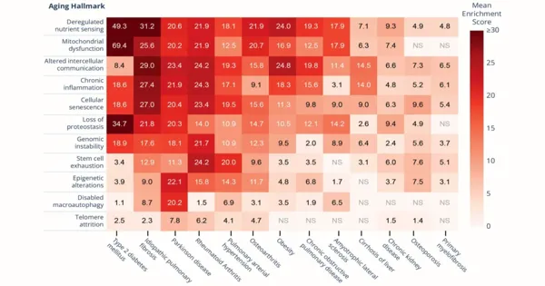 Three Big Ideas in Aging Research …