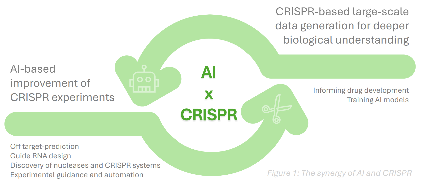 AI and CRISPR—converging revolutions in biomedicine?